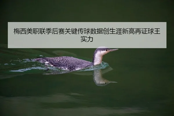 梅西美职联季后赛关键传球数据创生涯新高再证球王实力