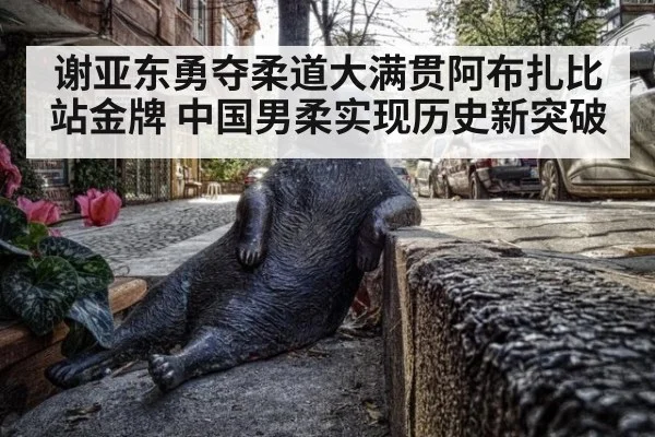 谢亚东勇夺柔道大满贯阿布扎比站金牌 中国男柔实现历史新突破